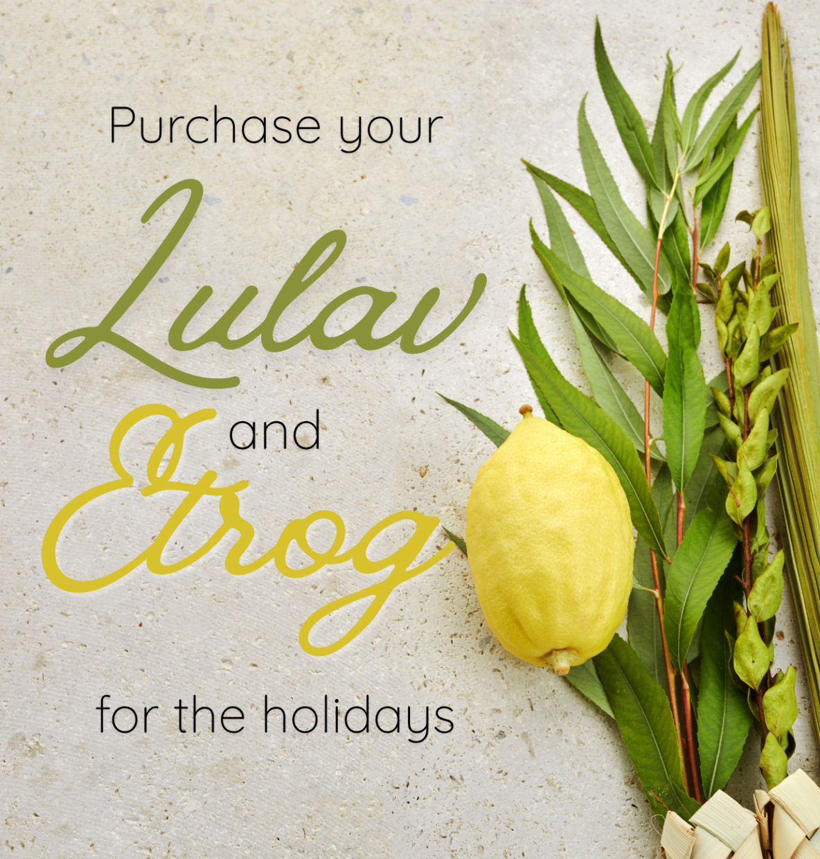 Purchase your Lulav & Etrog